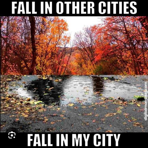 fall my city.jpg